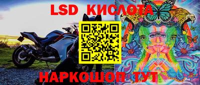 шишки Нальчик