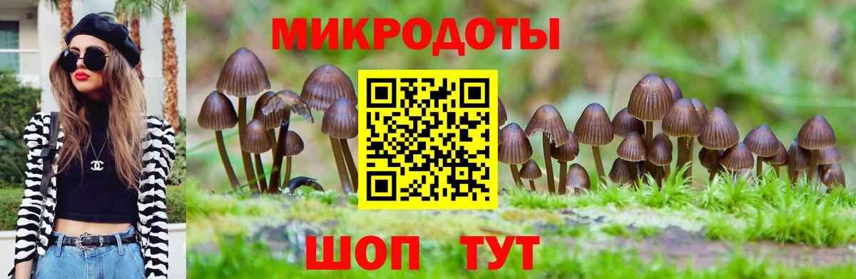 магазин    Галлюциногенные грибы мухоморы  Вход с VPN  Тулун 